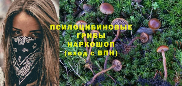 apvp Абдулино